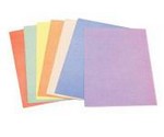 Paper Folders A4 (100pcs/pack)