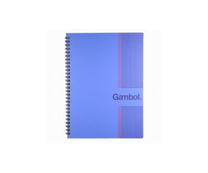 GAMBOL DS6000 雙線圈PP面部 B5 = 179x252mm 60 頁