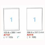 Aneos Computer Printing Label (100 sheets/box)